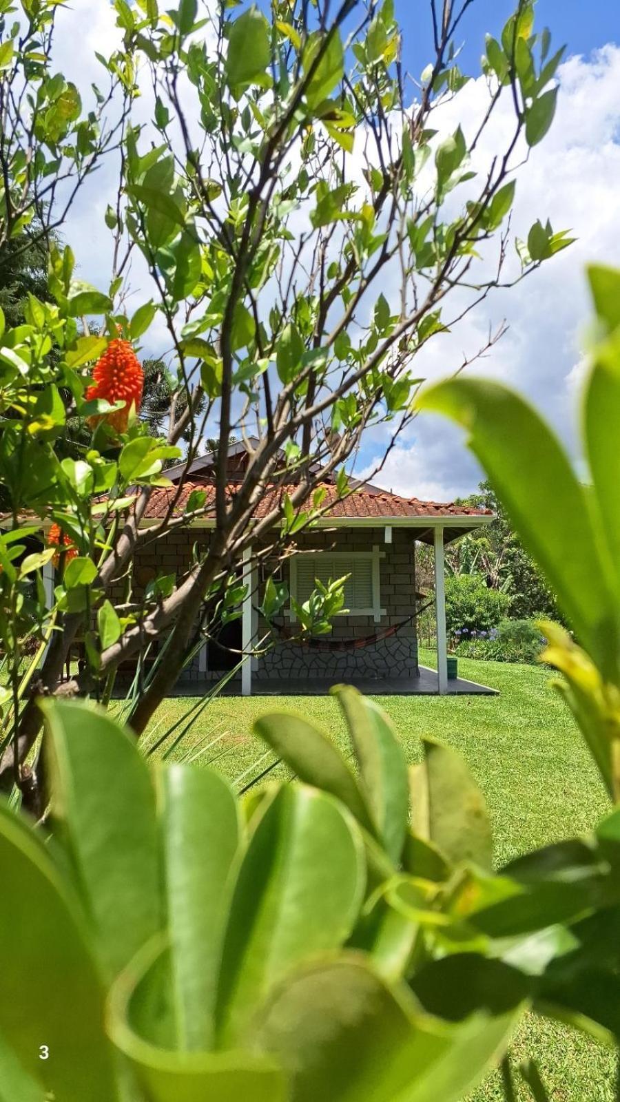 Canto Dos Passaros- Casa De Campo Em Gonçalves Oda fotoğraf